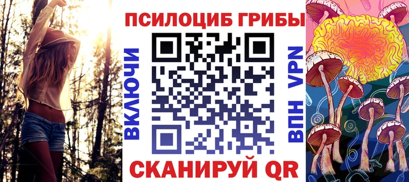Галлюциногенные грибы Cubensis  закладки  Энгельс 